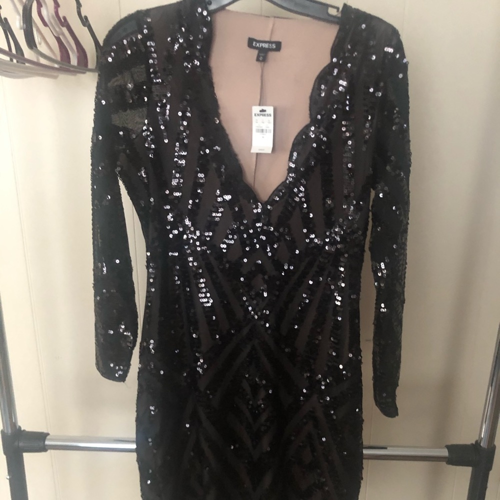 Long sleeved plunge neckline sequin Express dress